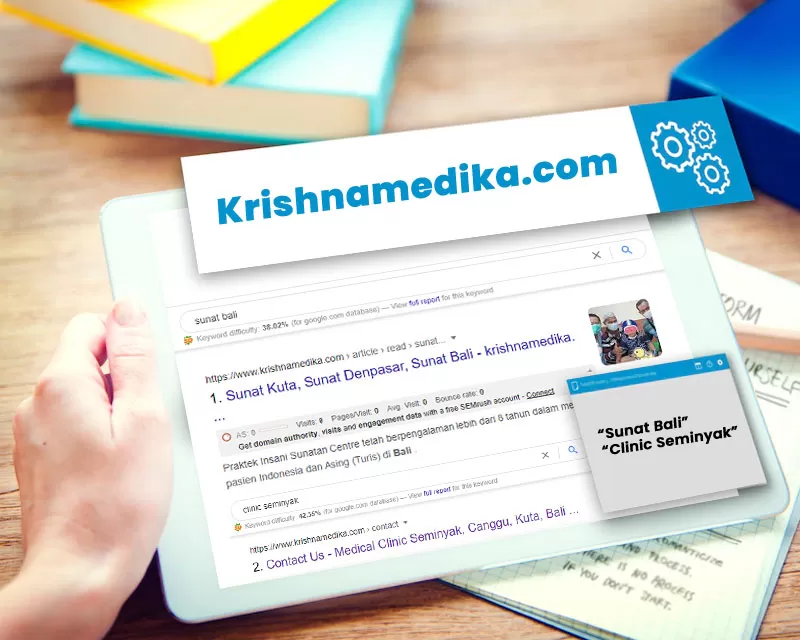 SEO Service Krishna Medika