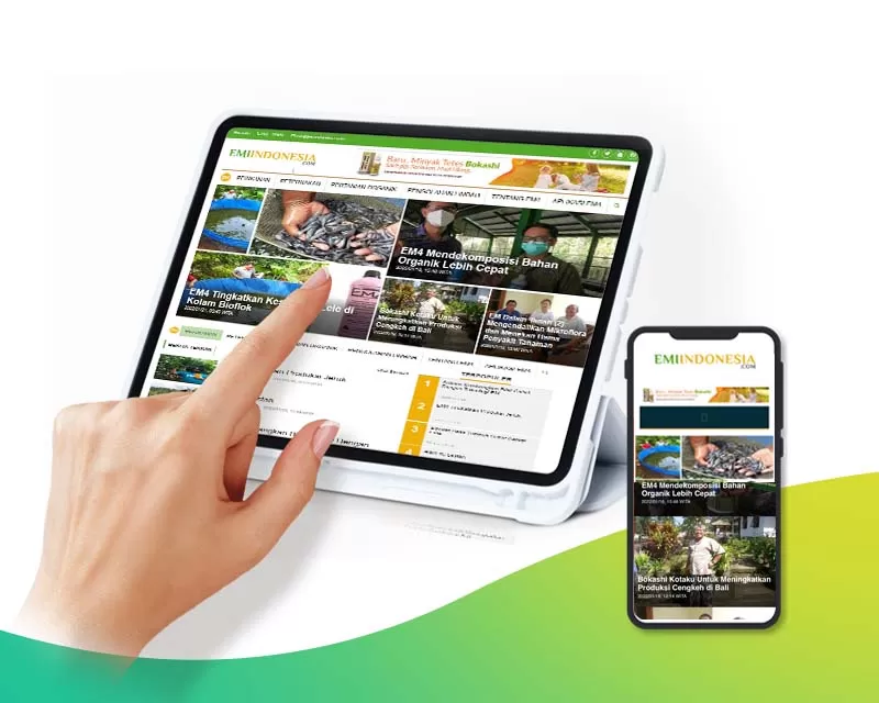 Rumah Media